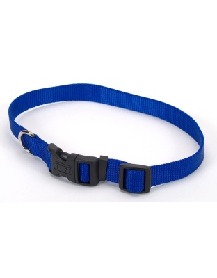 Coastal Adjustable Nylon Collar With Tuff Buckle Blue 1X20In