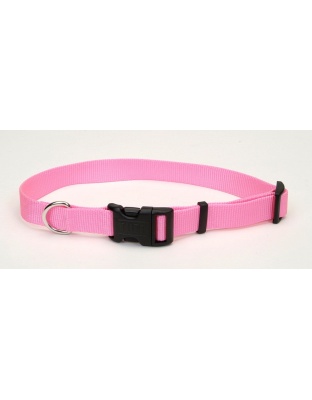 Coastal Adjustable Nylon Dog Collar with Plastic Buckle Bright Pink 1ea/1 In X 18-26 in