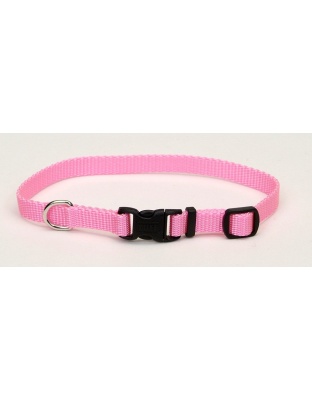 Coastal Adjustable Nylon Dog Collar with Plastic Buckle Bright Pink 1ea/3/8 In X 8-12 in
