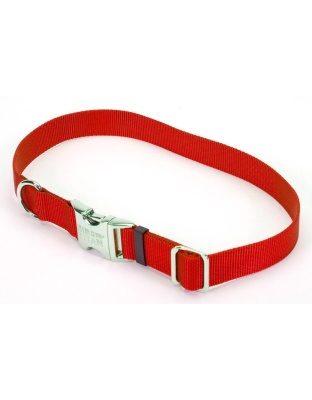Coastal Adjustable Nylon Dog Collar with Titan Metal Buckle Red 1ea/1 In X 14-20 in