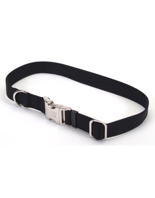 Coastal Adjustable Nylon Dog Collar with Titan Metal Buckle Black 1ea/1 In X 14-20 in