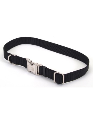 Coastal Adjustable Nylon Dog Collar with Titan Metal Buckle Black 1ea/3/4 In X 14-20 in