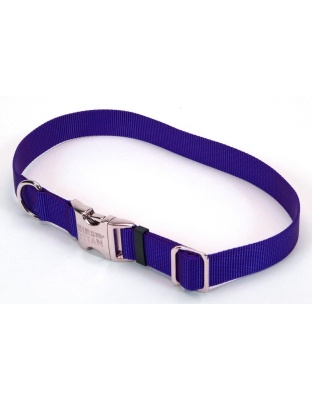 Coastal Adjustable Nylon Dog Collar with Titan Metal Buckle Blue 1ea/1 In X 18-26 in