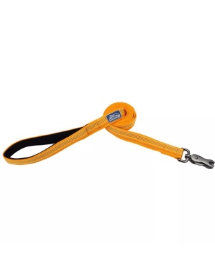 K9 Explorer Brights Reflective Dog Leash Desert Small/Medium 5/8"x 6'