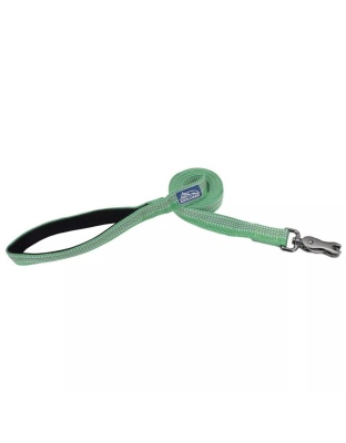 K9 Explorer Brights Reflective Dog Leash Meadow Small/Medium 5/8"x 6'
