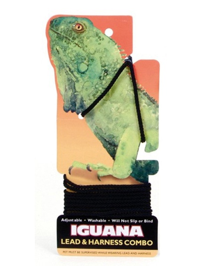 Coastal Small Animal Lead and Harness Iguana