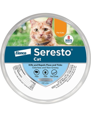 Bayer Cat Seretso Small 6-36 8 Month Collar (Case of 6)