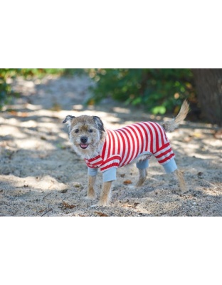 Spot Ethical Pet Striped Pajama Red Extra Small