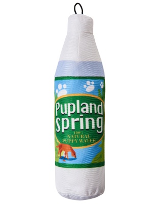 Spot Fun Drink Pupland Springs Dog Toy Green 1ea/11 in