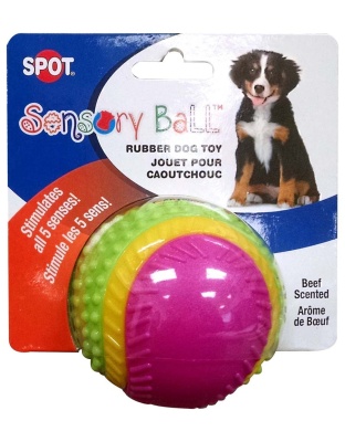 Spot Sensory Ball Dog toy Assorted 1ea/3.25 in, MD