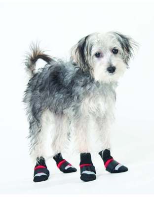 Fashion Pet Extreme All Weather Boots Red/Black 1ea/XXS