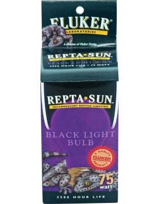 Fluker's Repta-Sun Incandescent Reptile Black Nightlight Bulb 1ea/60 W
