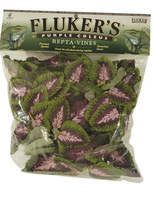 Fluker's Purple Coleus Repta-Vines Green, Purple 1ea/6 ft