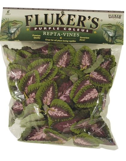 Fluker's Purple Coleus Repta-Vines Green, Purple 1ea/6 ft