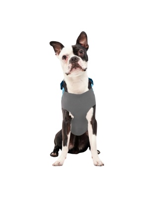 Goo-Eez Reflective Hooded Raincoat Baby Blue/Grey XSmall