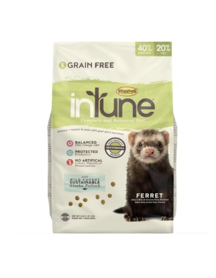 Intune Complete Diet Ferret 4 Lb