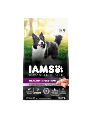 IAMS Advanced Healthy Digestion Adult Dry Dog Food Chicken & Whole Grains 1ea/6 lb