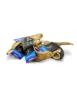 Icelandic  Lamb Horn - Bulk 24-Count (Display Refill) (Sized Approx. 6.5-7In)
