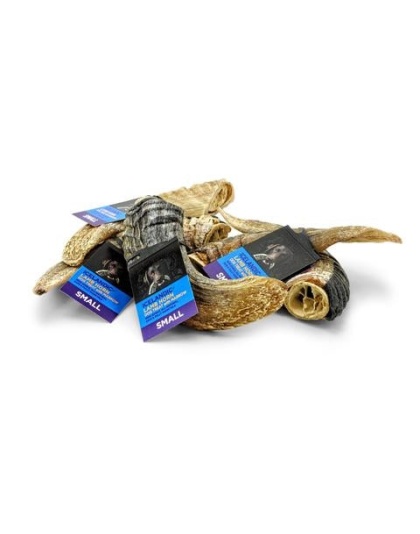 Icelandic  Lamb Horn - Bulk 24-Count (Display Refill) (Sized Approx. 6.5-7In)