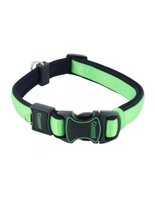 Inspire Adjustable Dog Collar Green 1 x 18-26in. Large