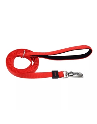 Inspire Dog Leash Red 5/8 in. x 6ft. Small/Medium