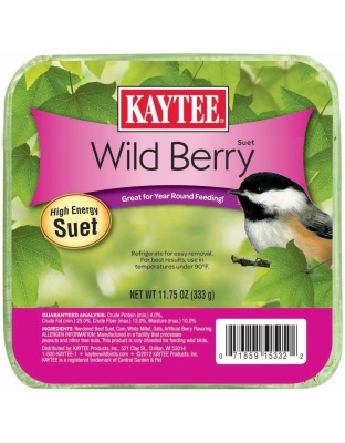 Kaytee Wild Berry High Energy Mini Suet 1ea/11.75 oz