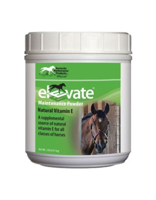 Elevate Maintenance Powder 2Lbs.