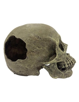 Komodo Half Human Skull Reptile Hideout Gray 1ea/One Size