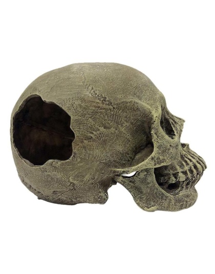 Komodo Half Human Skull Reptile Hideout Gray 1ea/One Size