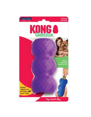 KONG Genius Mike Dog Toy Assorted 1ea/LG