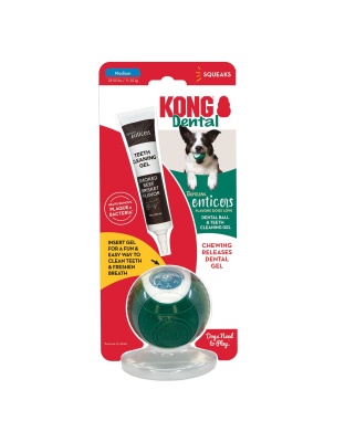KONG Dental Ball w/Tropiclean Enticer Teeth Cleaning Gel Honey Chicken 1ea/MD, 1 oz