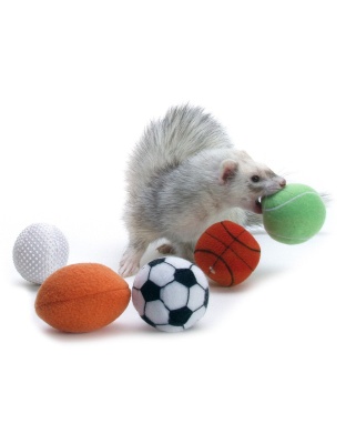 Marshall Pet Products Ferret Sport Balls Assorted 1ea/2 in, 2 pk