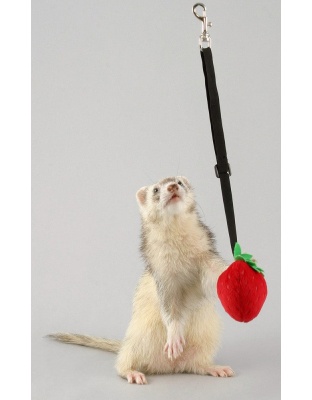Marshall Pet Products Ferret Bungee Toy Platypus Pink 1ea/One Size
