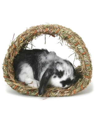 Marshall Pet Products Peters Woven Grass Hide-A-Way Hut for Small Animals Brown 1ea