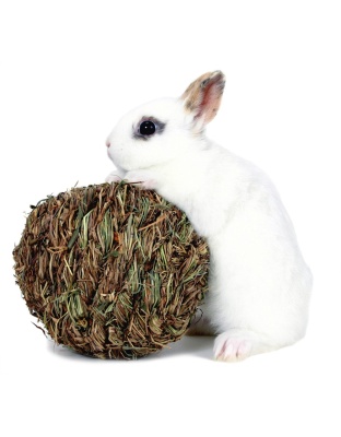 Marshall Pet Products Woven Grass Play Ball for Small Animals Light Green 1ea