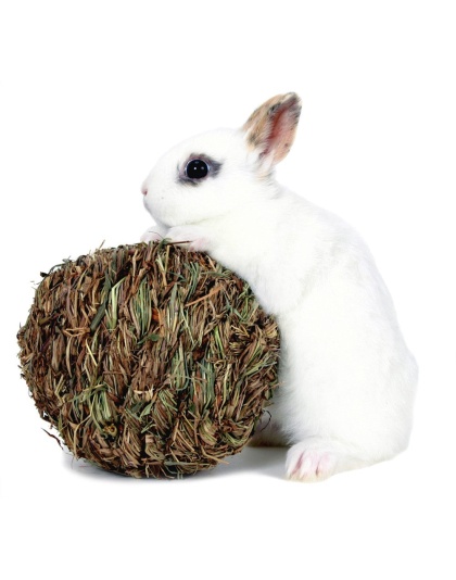 Marshall Pet Products Woven Grass Play Ball for Small Animals Light Green 1ea