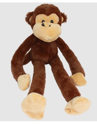 Multipet Swingin Safari Dog Toy Monkey Assorted 1ea/22 in