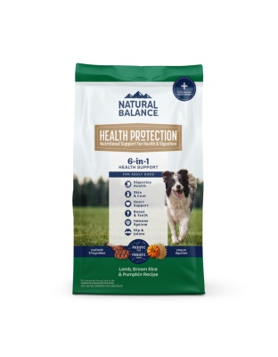 Natural Balance Pet Foods Health Protection Dry Dog Food Lamb, Rice  Pumpkin, 1ea/24 lb
