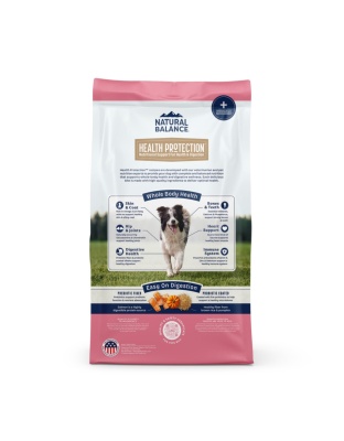Natural Balance Pet Foods Health Protection Dry Dog Food Salmon, Brown Rice  Pumpkin, 1ea/22 lb