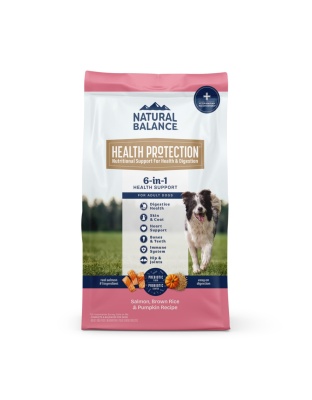 Natural Balance Pet Foods Health Protection Dry Dog Food Salmon, Brown Rice  Pumpkin, 1ea/4 lb