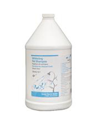 Nootie Dog Shampoo Whitening 1 Gallon