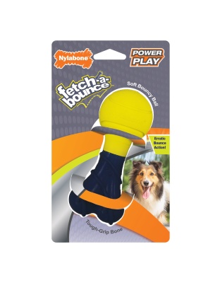Nylabone Power Play Rubber Dog Toy Fetch-a-Bounce 1ea/SMall/Regular - Up To 25 Ibs.