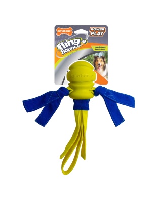 Nylabone Power Play Fling-a-Bounce Interactive Dog Toy 1ea/Medium/Wolf - Up To 35 lb