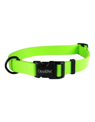 Omni Pet Carnival Biothane Dog Collar Lime Green 3/4 x 14 x 20in.