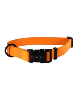 Omni Pet Carnival Biothane Dog Collar Orange 1 x 18 x 26 in.