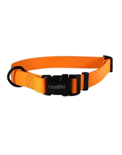 Omni Pet Carnival Biothane Dog Collar Orange 1 x 18 x 26 in.