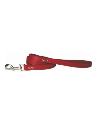 Omni Pet Leather Dog Leash Red  1/2in. x 4ft.