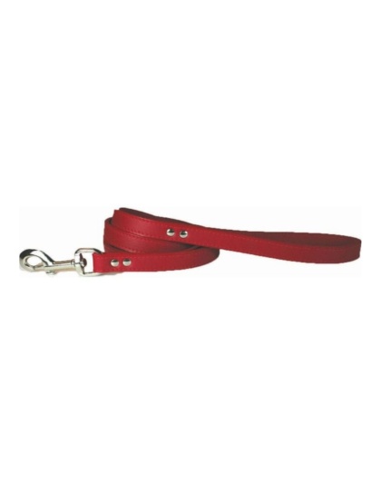 Omni Pet Leather Dog Leash Red  1/2in. x 4ft.