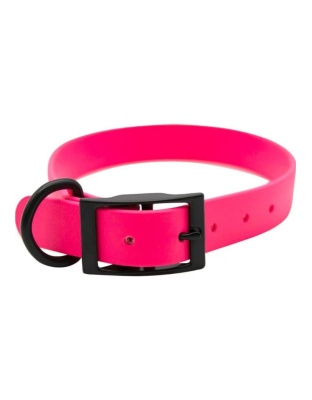Omni Pet Zeta Biothane Dog Collar with Blk Hardware Ruby 1 x 26in.