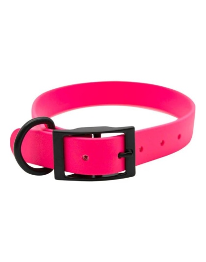 Omni Pet Zeta Biothane Dog Collar with Blk Hardware Ruby 1 x 26in.